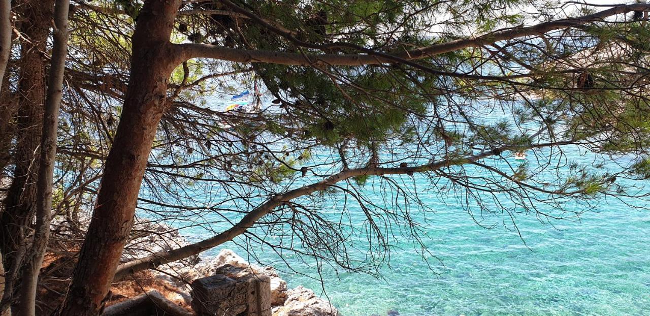 Adriatic Apartment โอเรบิก ภายนอก รูปภาพ